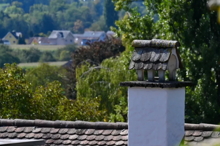 Ein Kamin, im Hintergrund Bäume und weitere Häuser